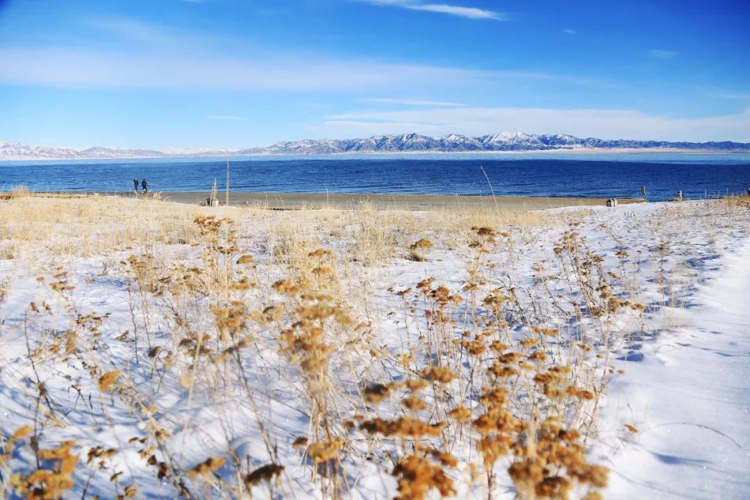 赛里木湖景区推出2019年冬季旅游活动，精彩无限！